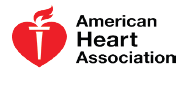American Heart Association
